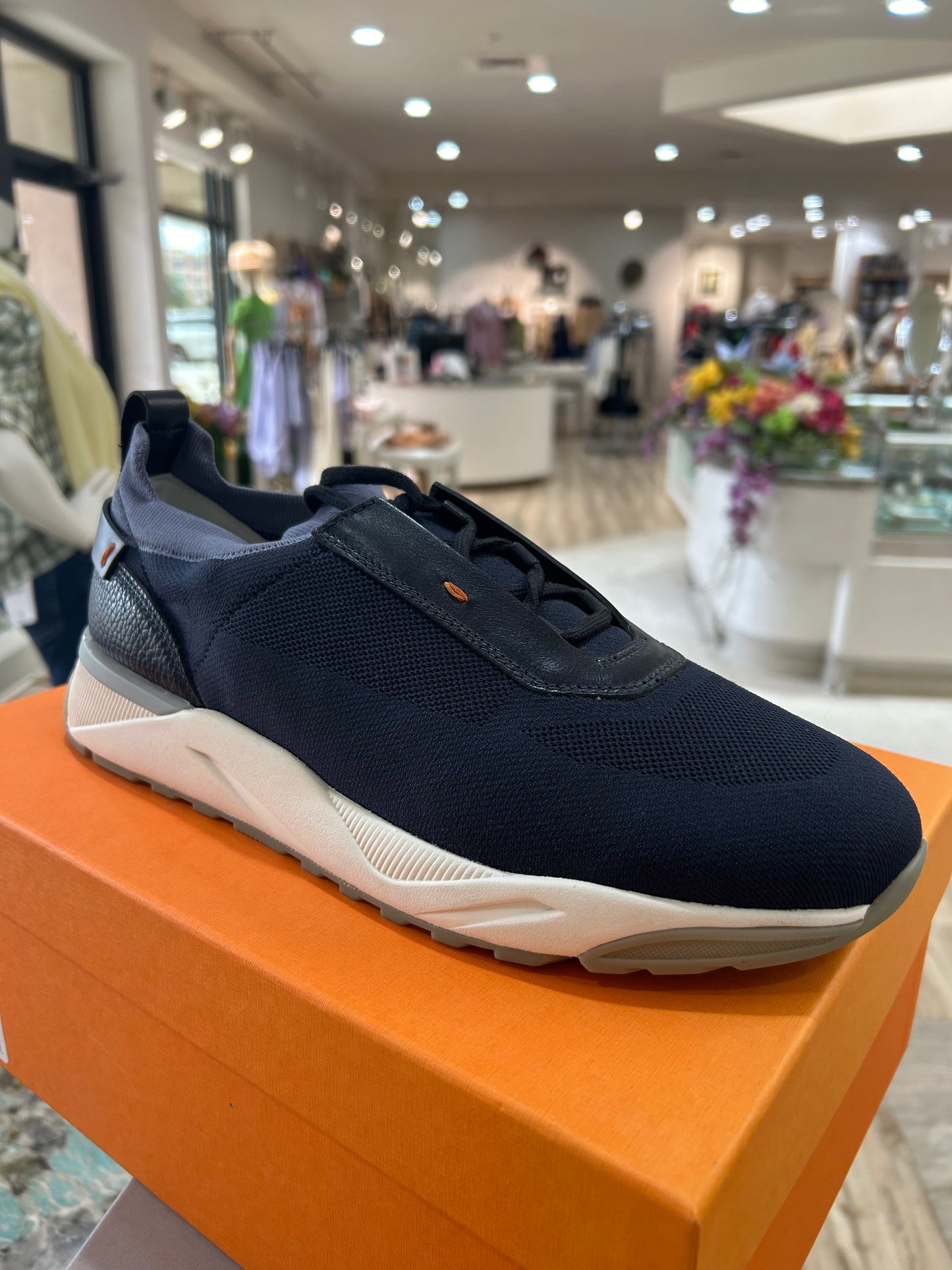 SANTONI Boar Navy Trainer