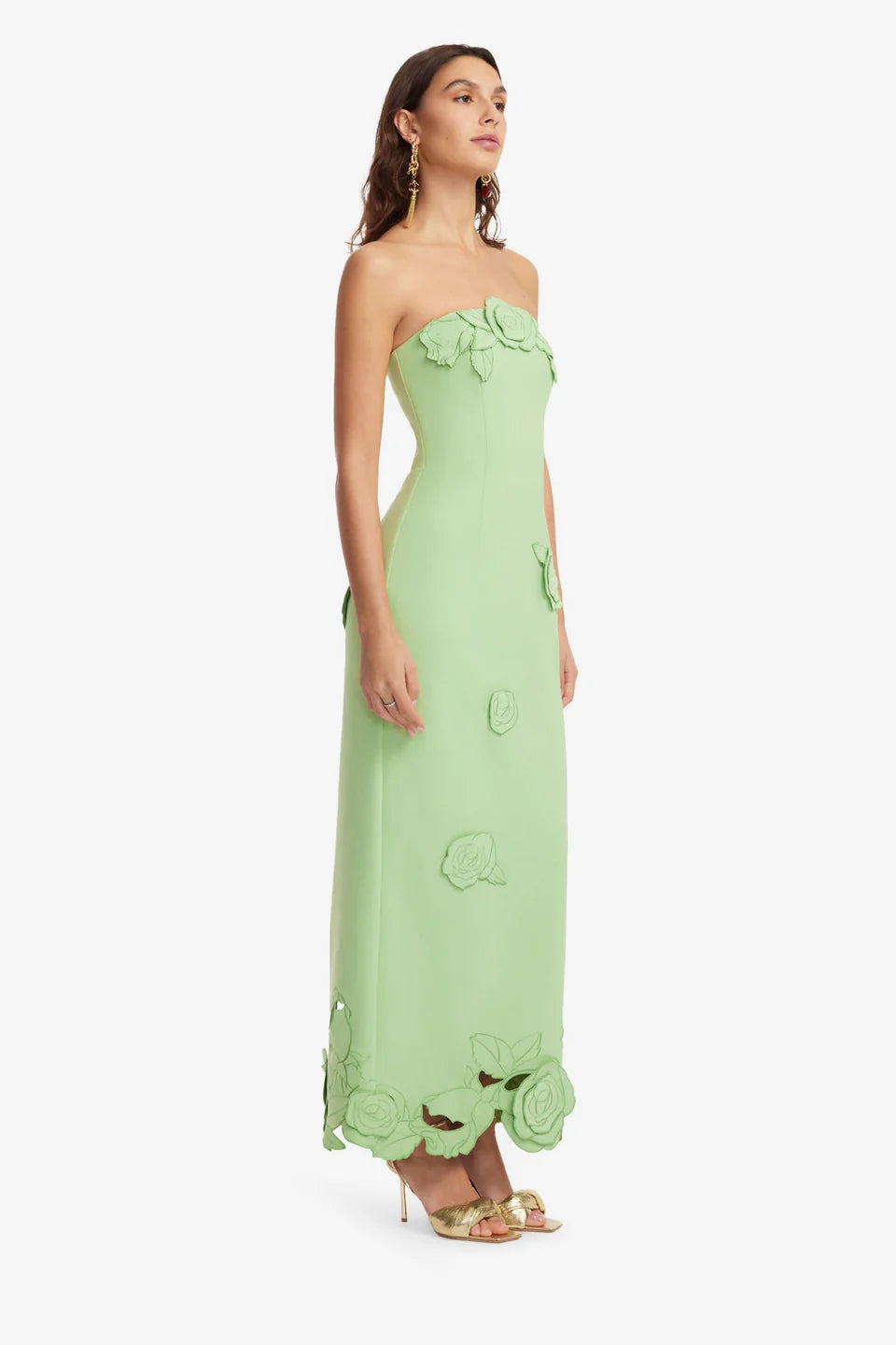 RAYNA Applique Bustier Maxi Dress
