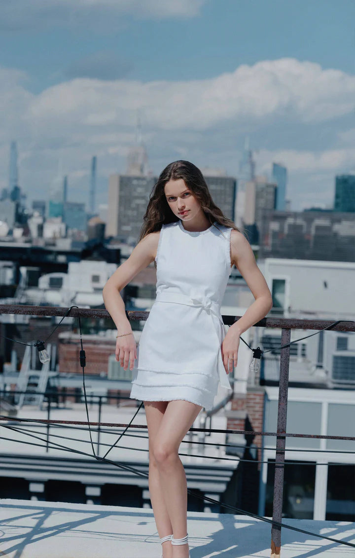 CINQ A SEPT Mindie Dress